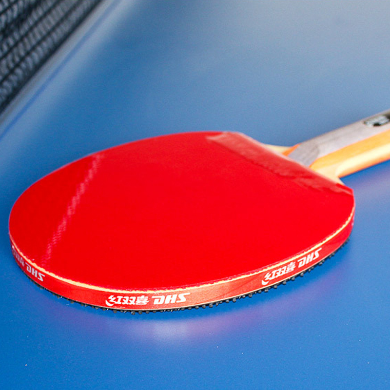DHS Self-adhesive Table Tennis - Table Tennis Loki recension och pris